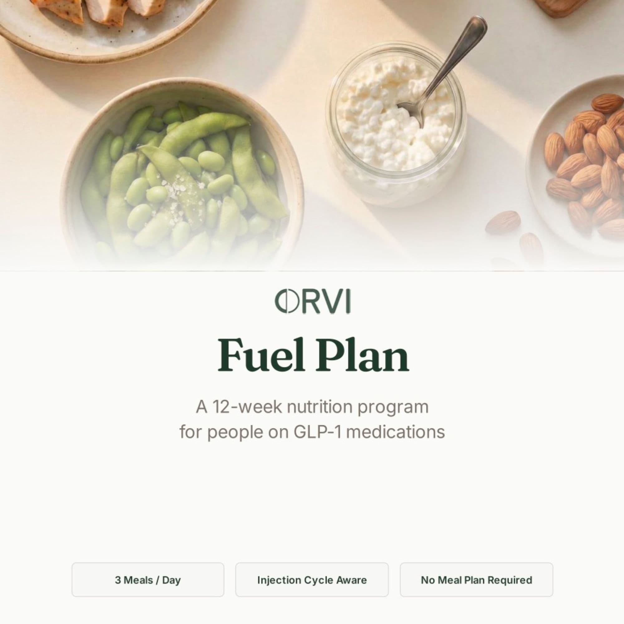 Orvi Fuel Plan